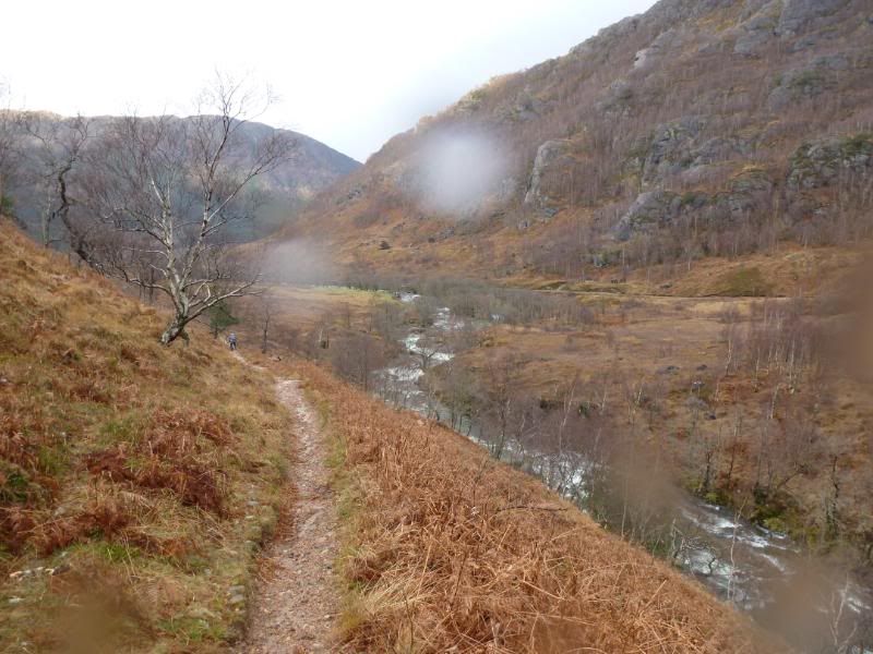P1000268.jpg