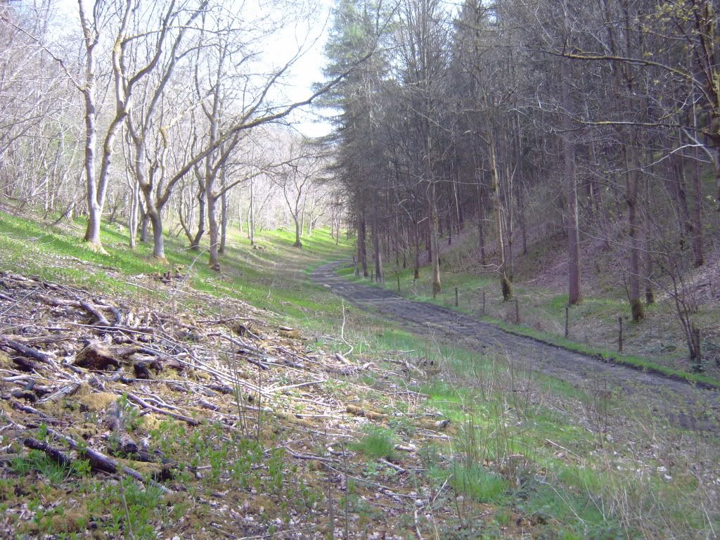 IMG00233.jpg