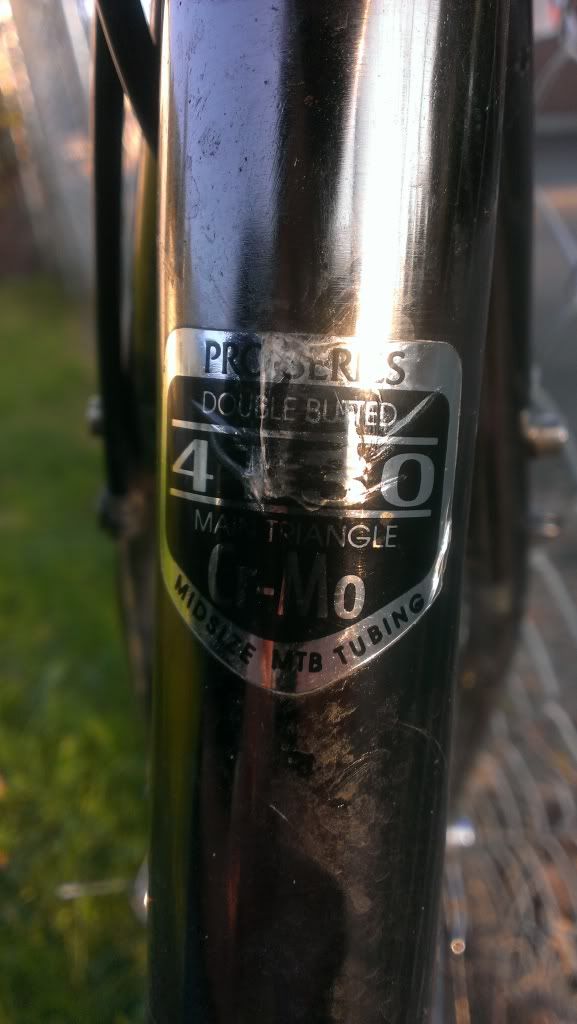 IMAG0255_zpsbd319931.jpg