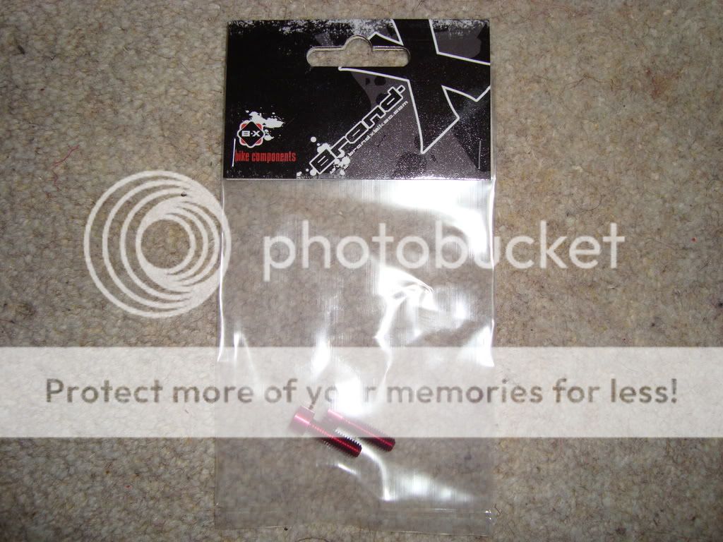 Adambike017-4.jpg