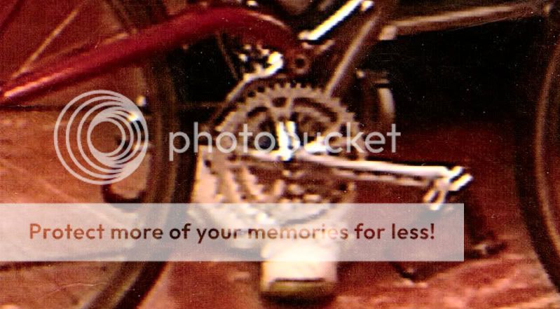 closeup.jpg