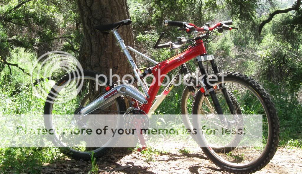 IMG_1620.jpg
