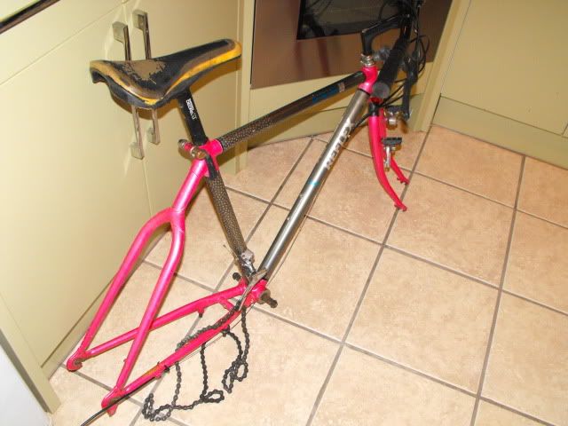 Ebay015.jpg