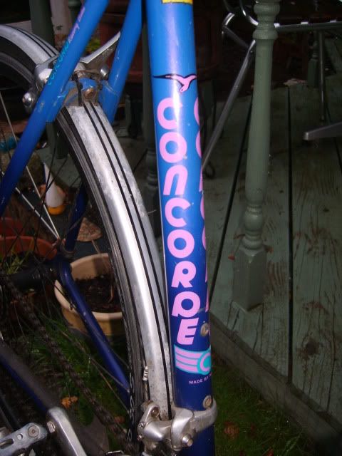 Concorde933230811006.jpg