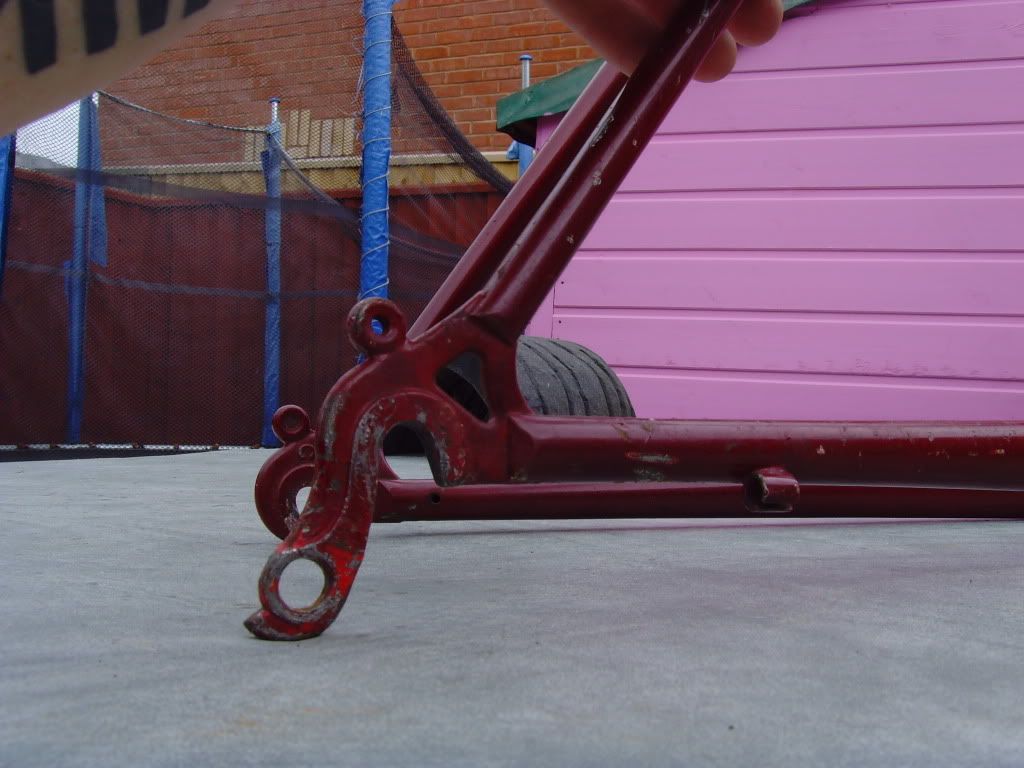 SNV36543.jpg