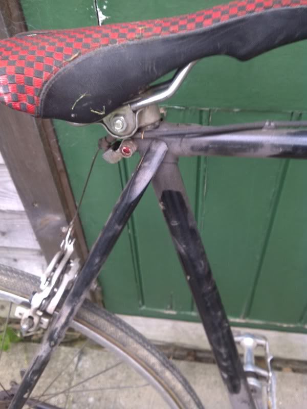 IMG-20120529-00470.jpg