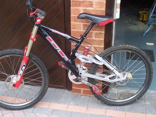 LOBO025.jpg