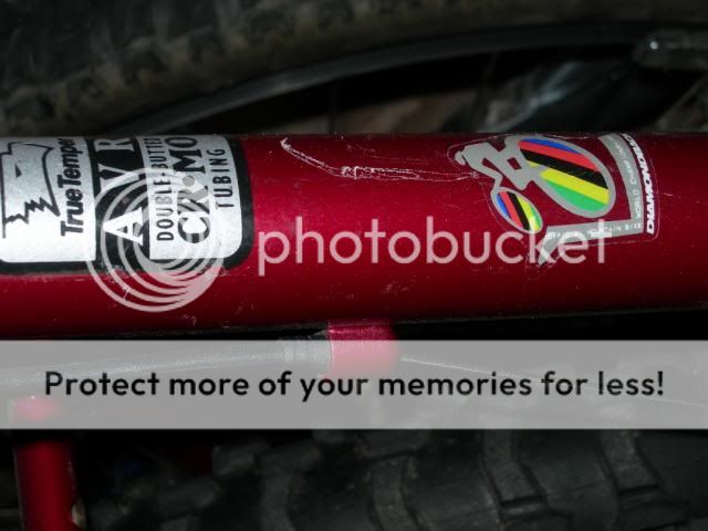 DSCN8652_zps3ede8e8d.jpg