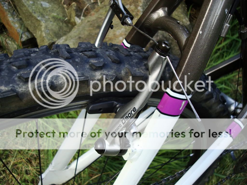 DSC02734.jpg