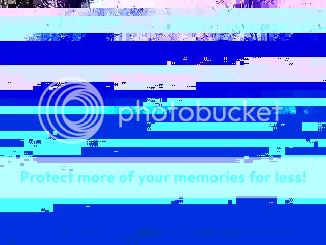100103_120628.jpg