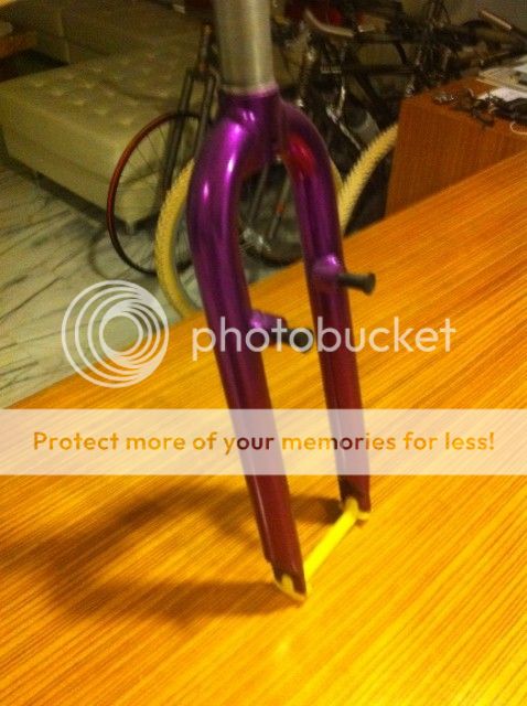image2.jpeg