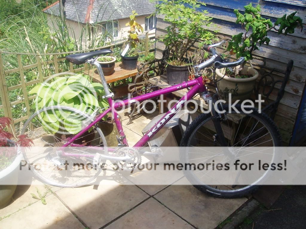 Bike003.jpg
