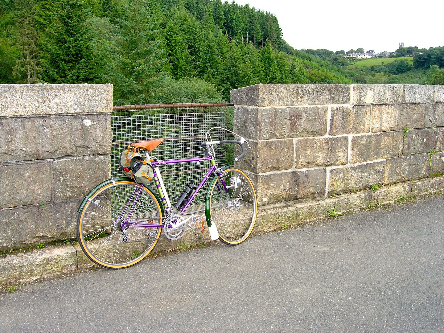 P7200274.jpg