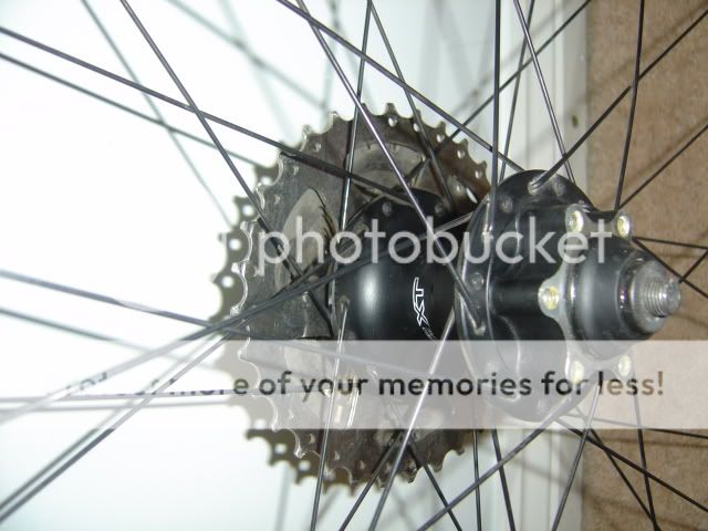 wheels5.jpg