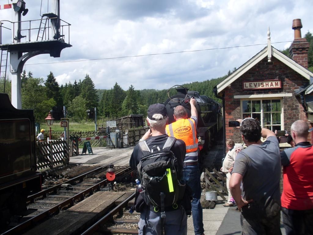 SDC10397_zpsfd45b346.jpg