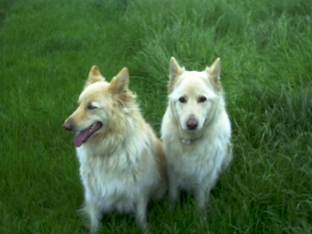 IMAG0144.jpg