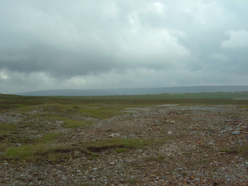 IMG00370.jpg