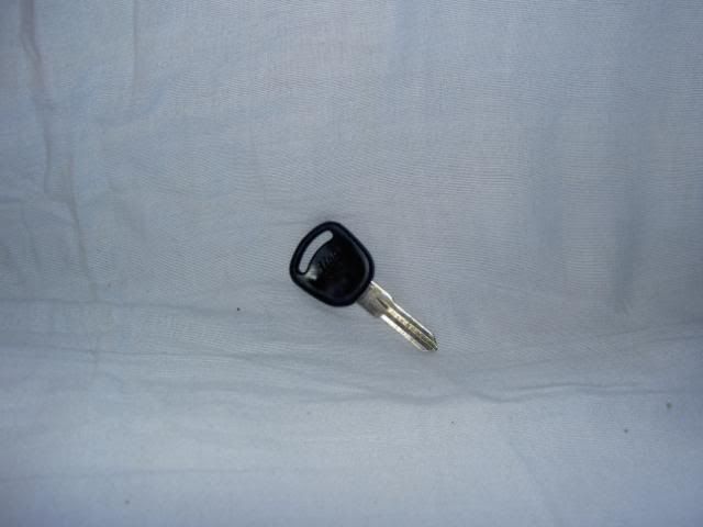 PICT3558.jpg