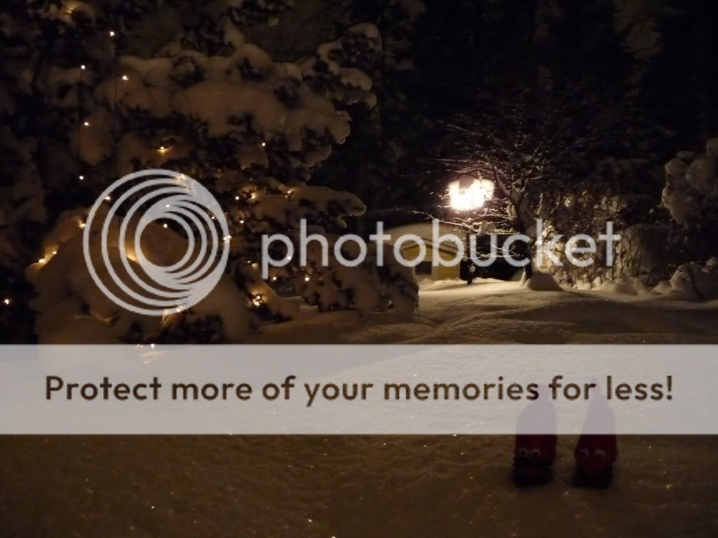 xmas_2010.jpg
