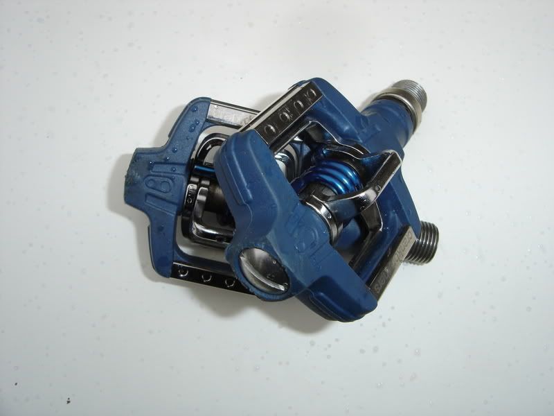 DSC01511.jpg