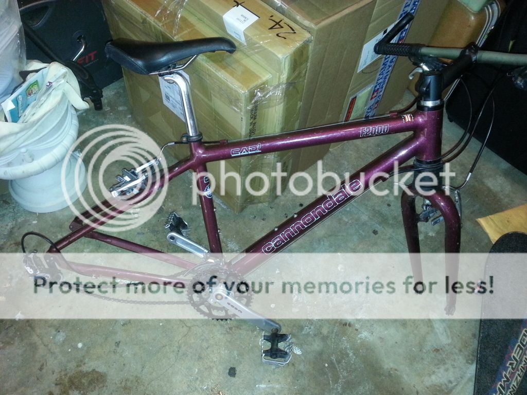 20130827_135428_zps67e1e8f3.jpg