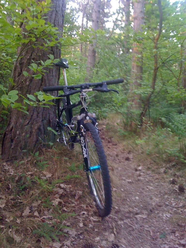 IMG_0129.jpg