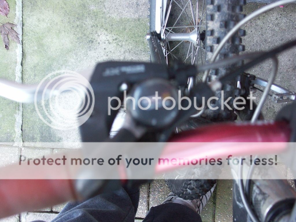 bikesandporsche040.jpg