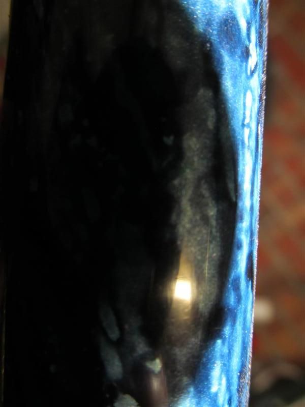 IMG_5325Medium.jpg