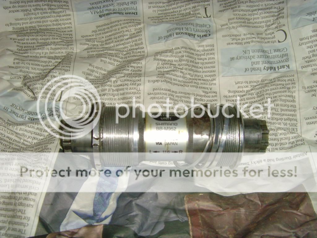 SNV34528.jpg