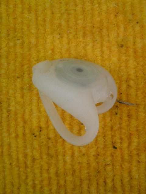 DSC01386.jpg