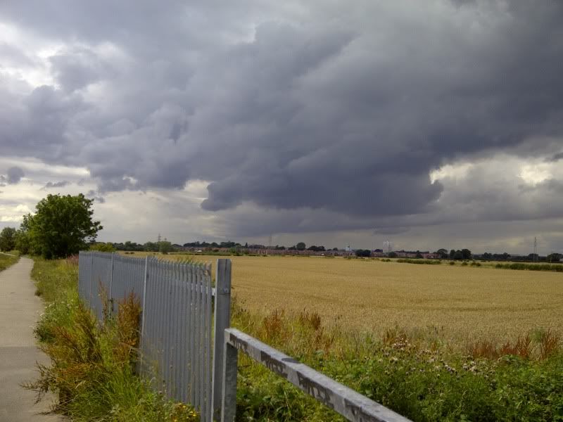 IMG-20110807-00280.jpg
