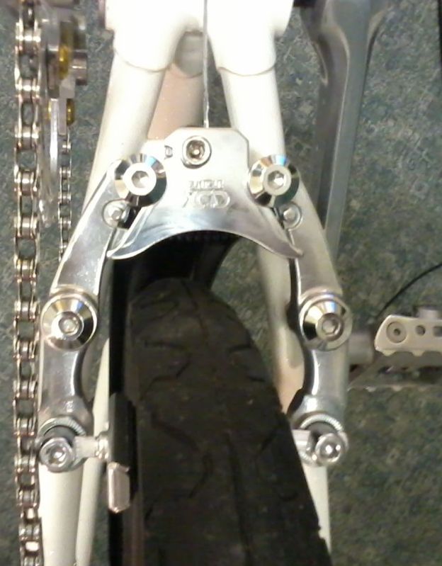 2013-01-10214454.jpg