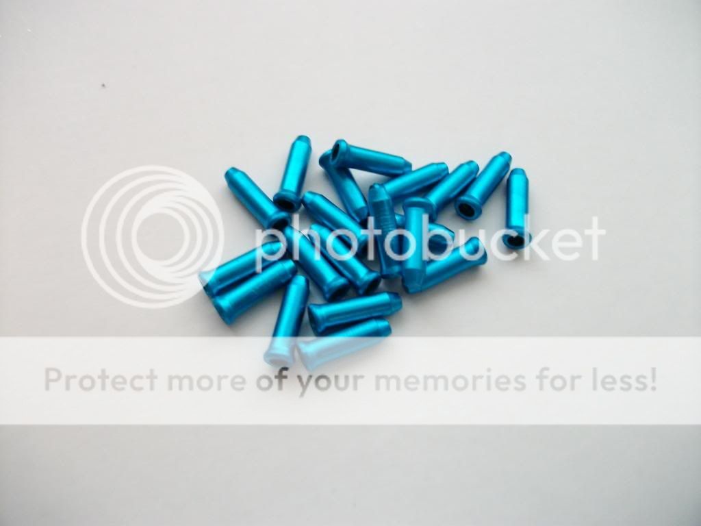 IMGP2675.jpg