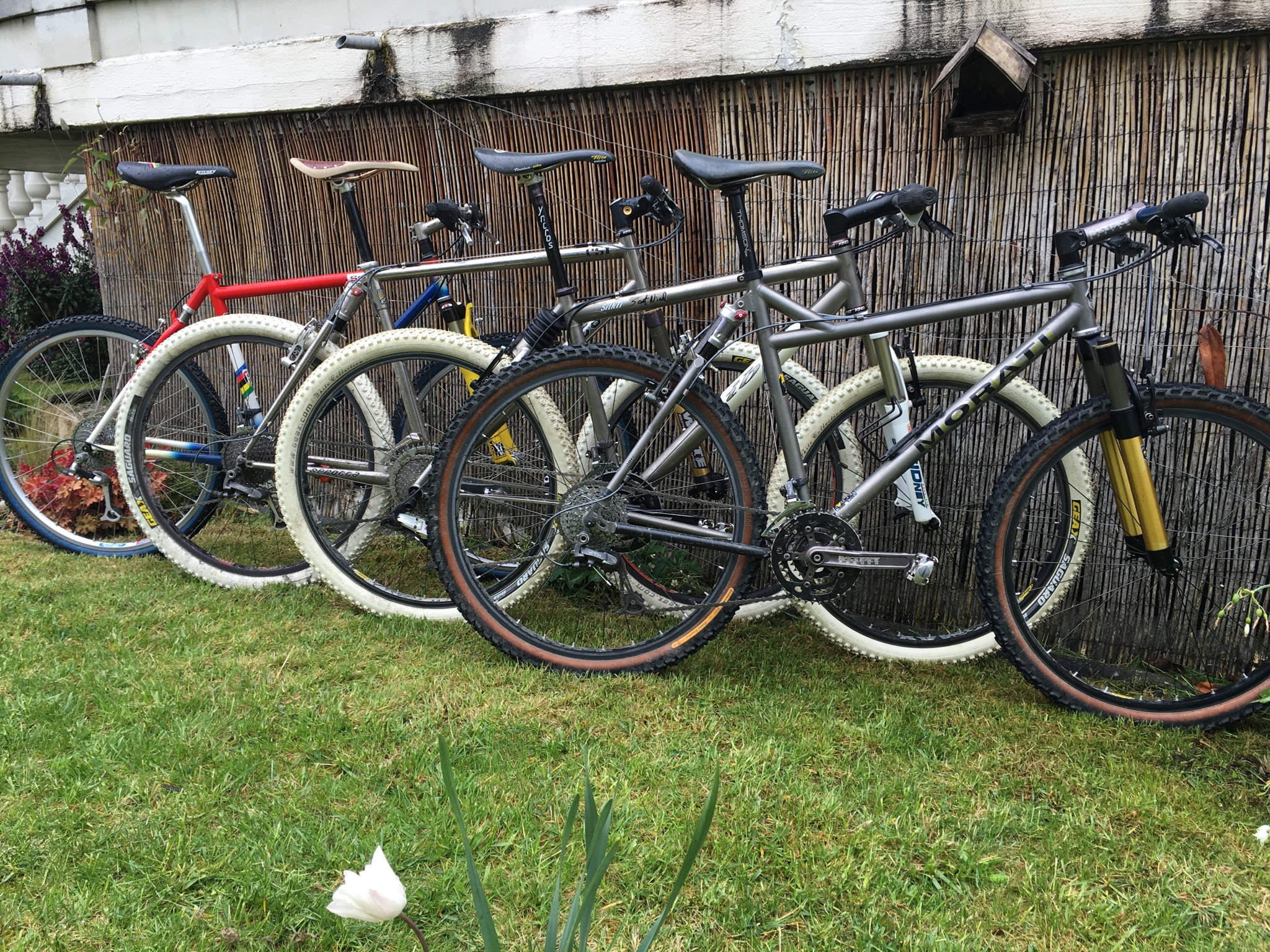 Morati titanium 2025 bikes