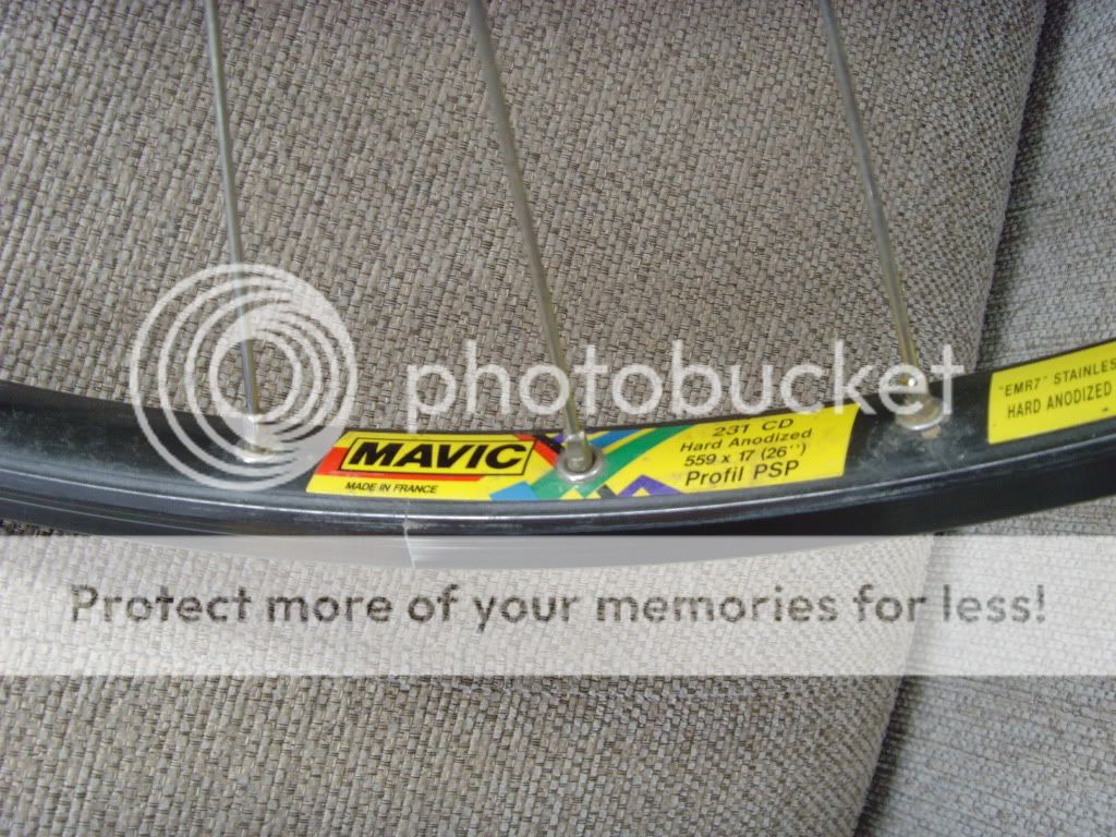 SNV34525.jpg