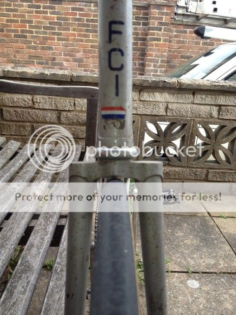 photo114.jpg