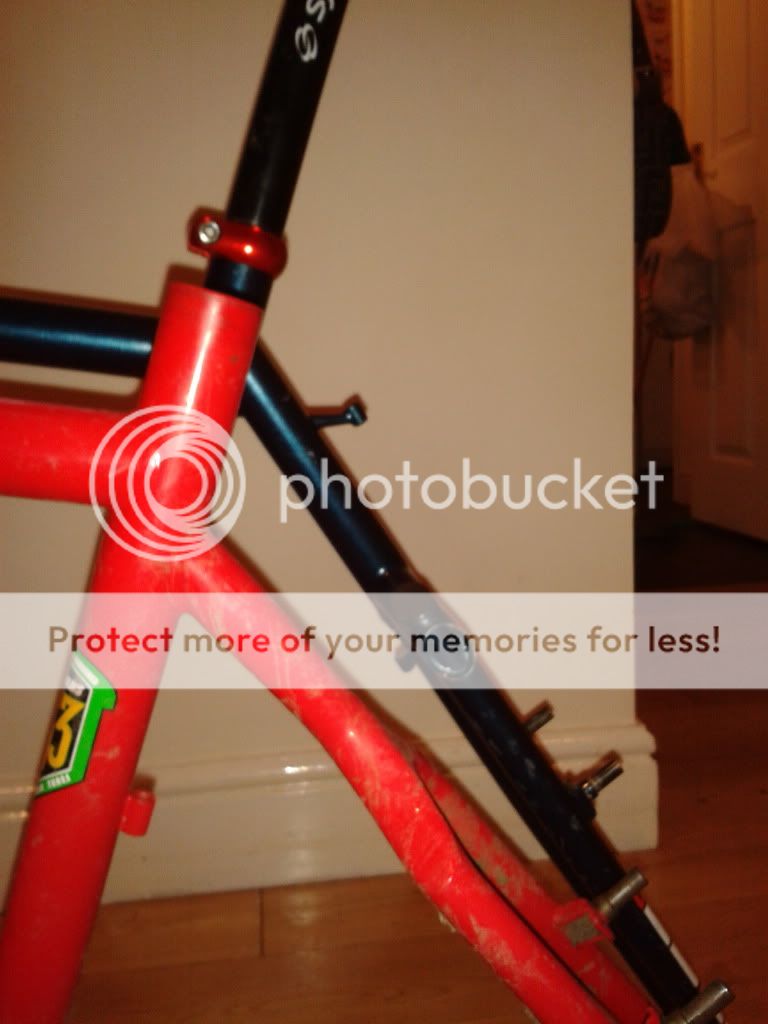 2011-11-20205020.jpg