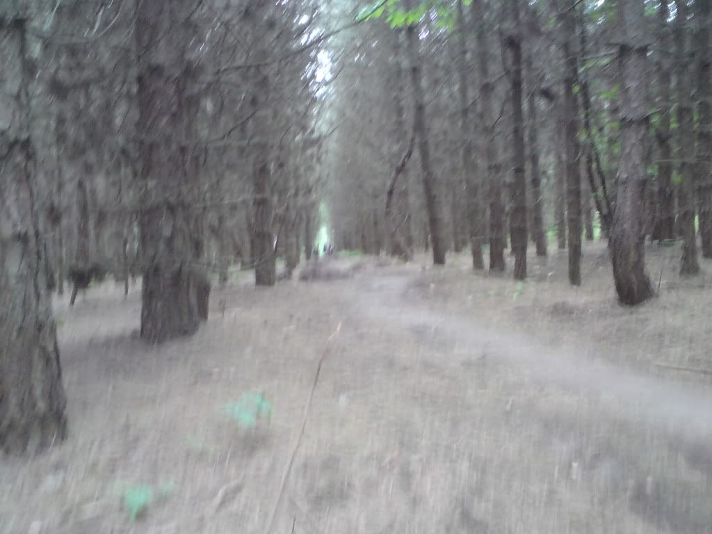 DSC00432.jpg