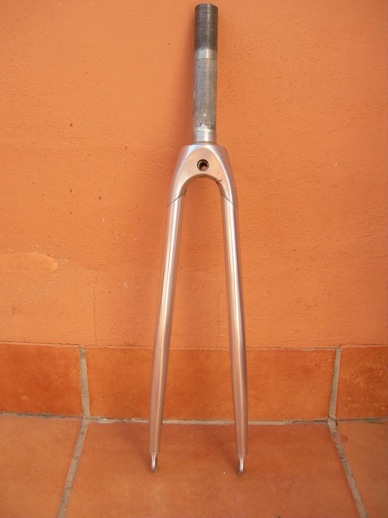 DSCN8155.jpg
