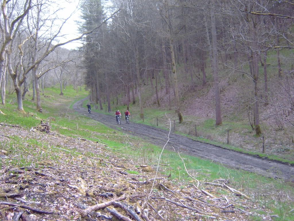 IMG00236.jpg