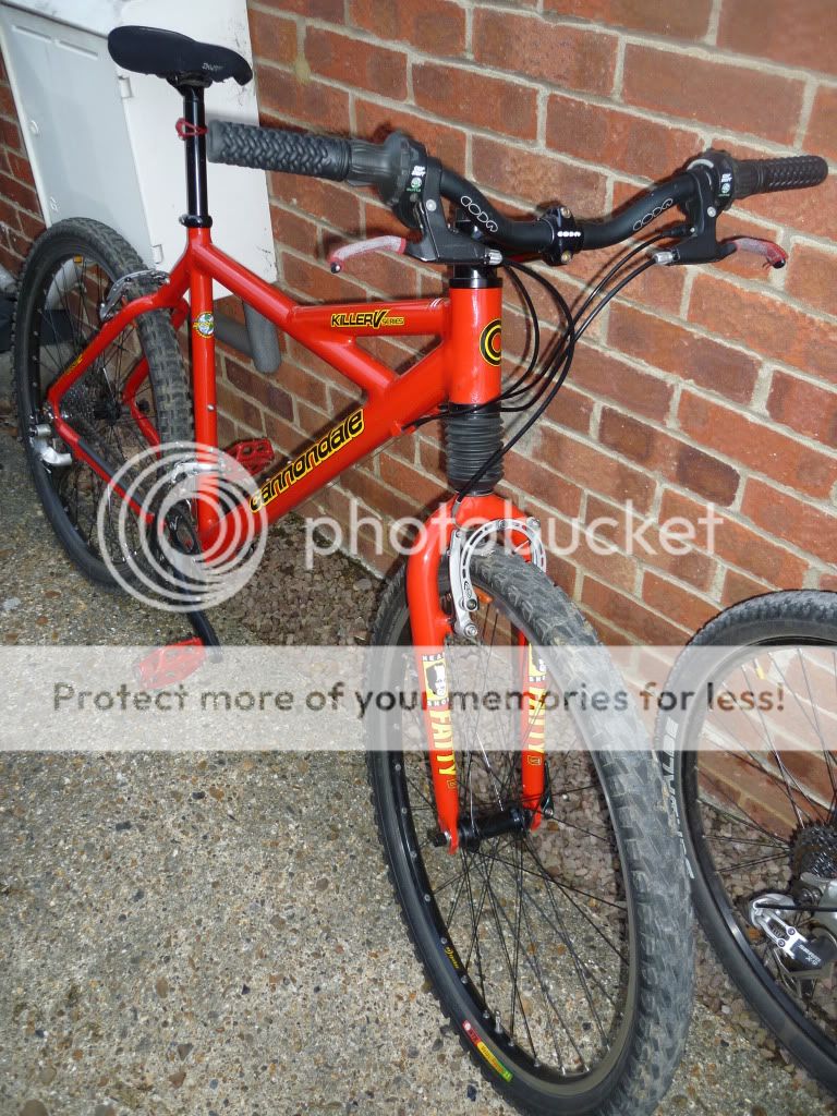 BikeJune20117.jpg