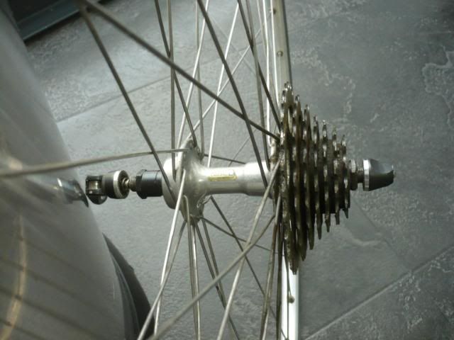 P1020134.jpg