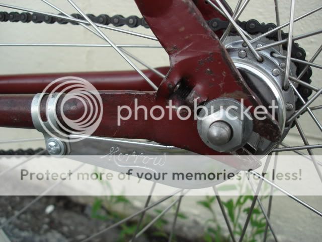 DSC01732.jpg