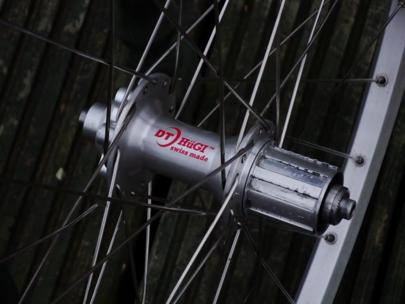 DT-Hugi002.jpg