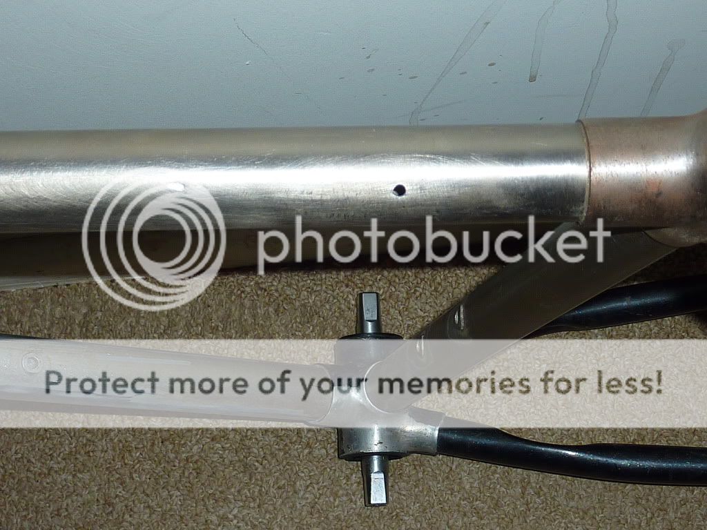 P1020103.jpg