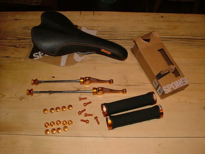 DSCF7553.jpg