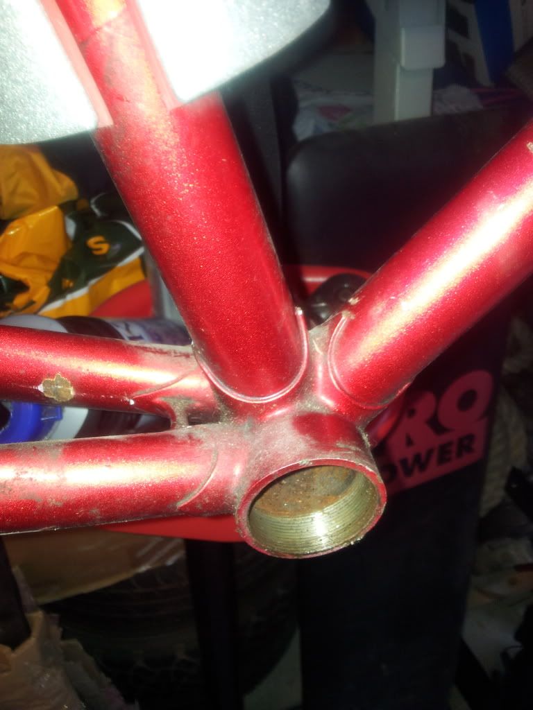 2012-04-09081422.jpg