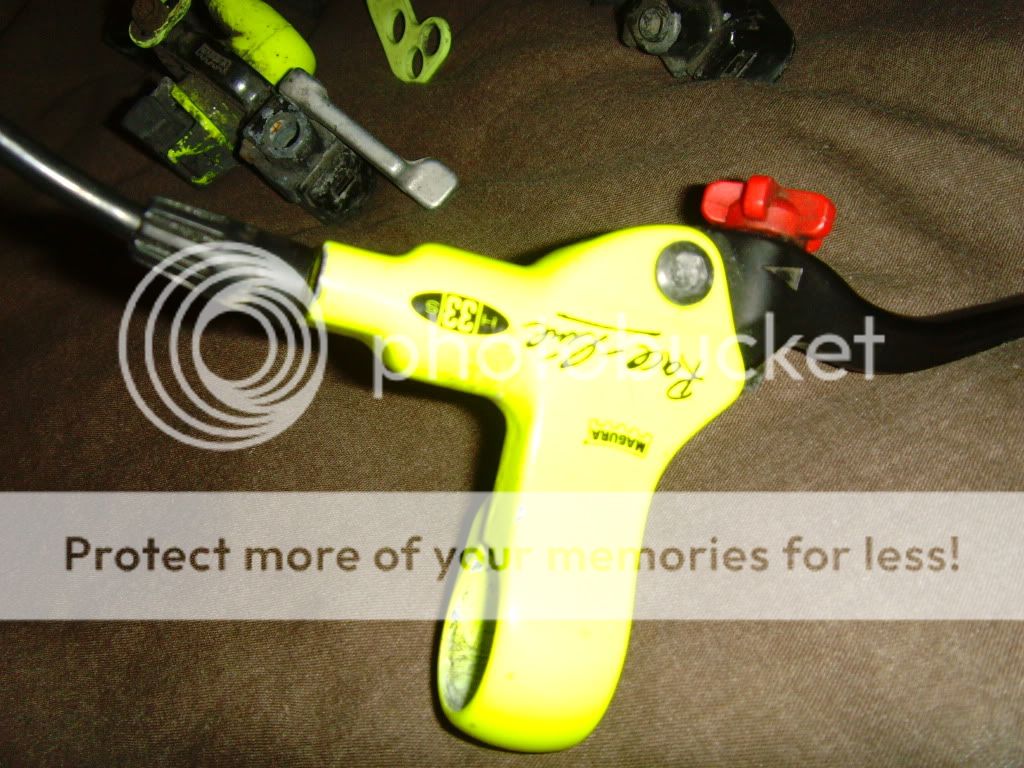 SNV35042.jpg