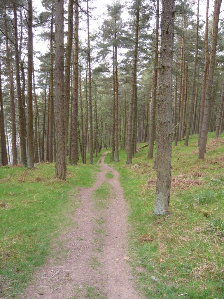 P1020460.jpg