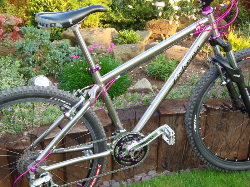 bikes002-1.jpg